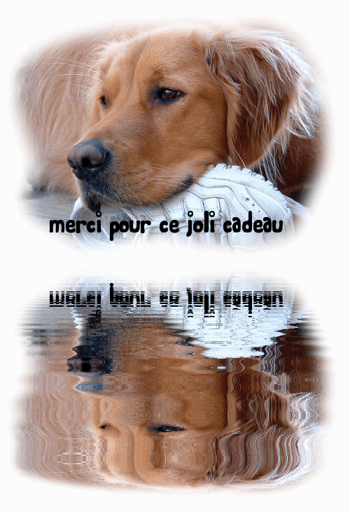 MERCI POUR CE CADEAU